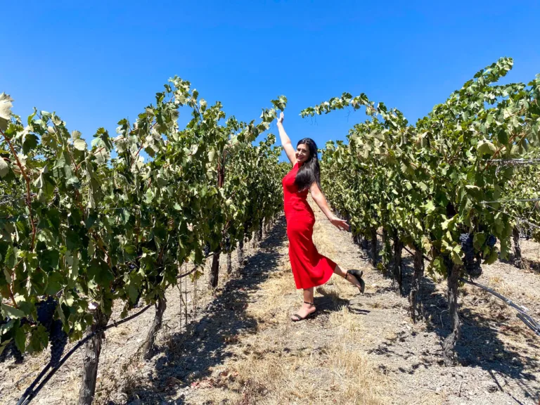 Top Wineries in Paso Robles &#8211; The West Side of Paso &#8211; Where to Stay and What Wineries to Visit