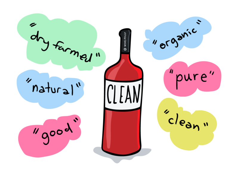 Clean Wines: The Truth About Biogenic Amines and Wine