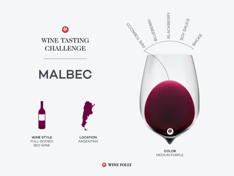 Tasting Challenge: Argentina’s Adopted Child, Malbec