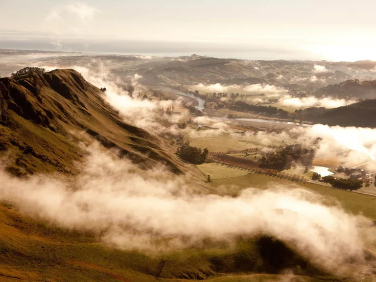 New Zealand Wine: Guide to Hawkes Bay