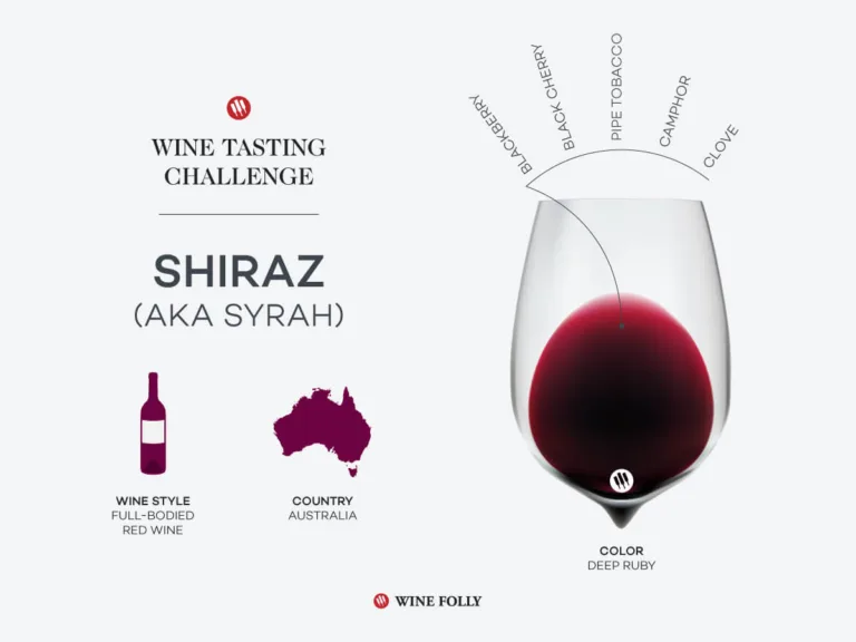 Tasting Challenge: Australian Shiraz