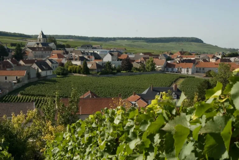 Villages that Produce Champagne