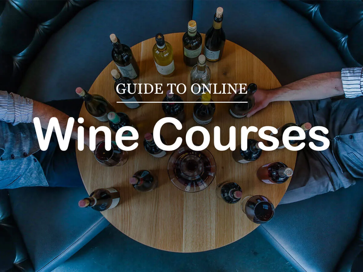 , Guide to Online Wine Courses (Free &amp; Paid)