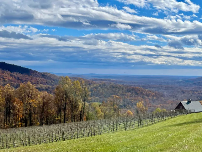 Chester Gap Cellars