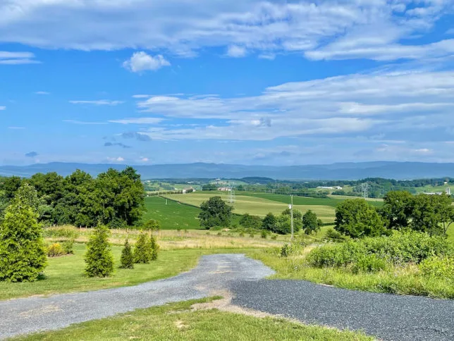 Celebrating the Shenandoah Valley AVA