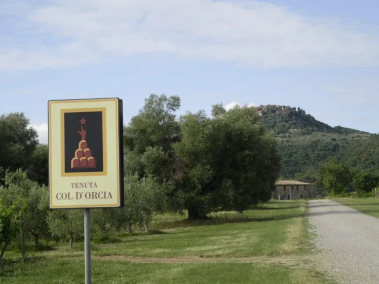 Col d’Orcia – Experience The Top Brunellos of This Iconic Producer