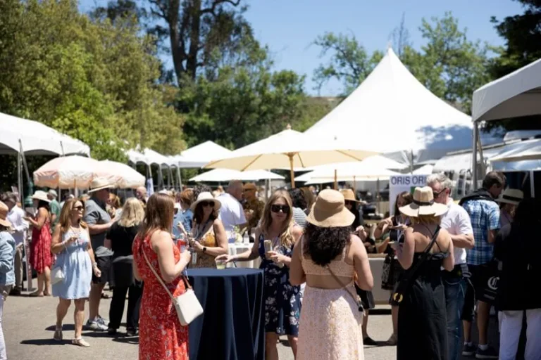 Sipping in the Sonoma Sunshine