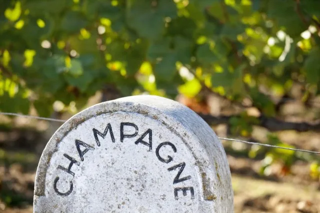 Champagne yields to drop in 2023 as sales decline