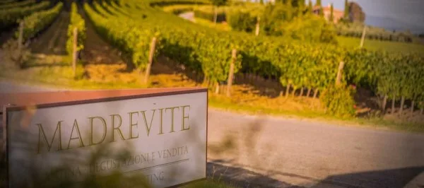 When Exploring Umbria, Visit Madrevite Where Top Rated Classic Wines Thrive