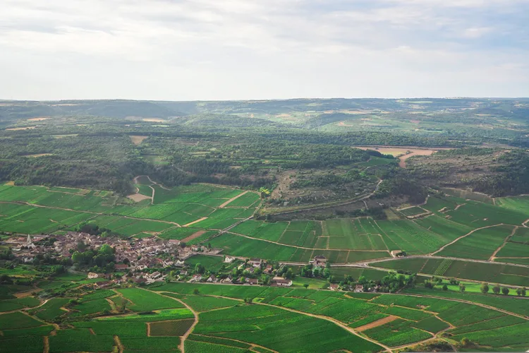 Off the Beaten Track in Burgundy