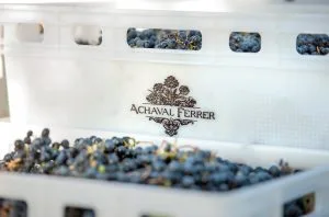 Achaval Ferrer &#8211; essential wines for the most discerning palates