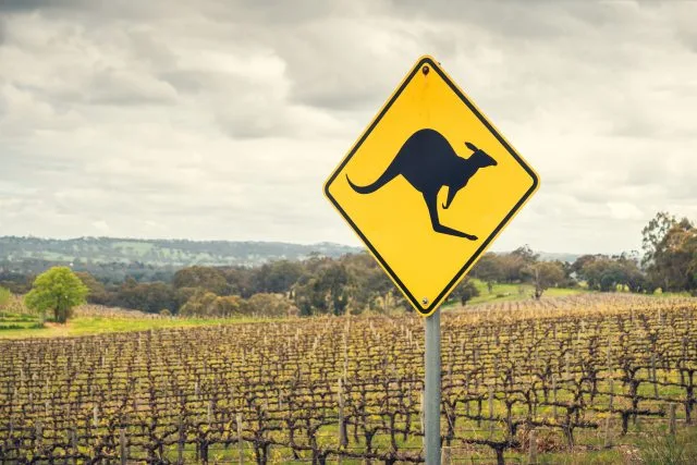 How Wine Australia plans to reduce carbon emissions by 40% in six years