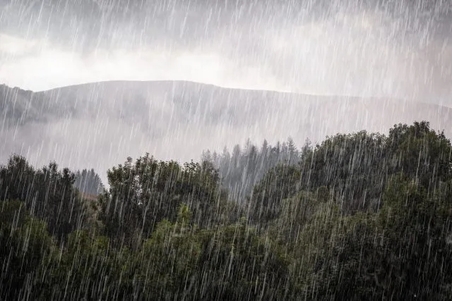 ‘Atmospheric river’ threatens California wine harvest