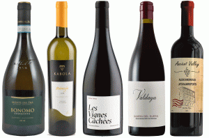 Best buys from Naked Wines this autumn