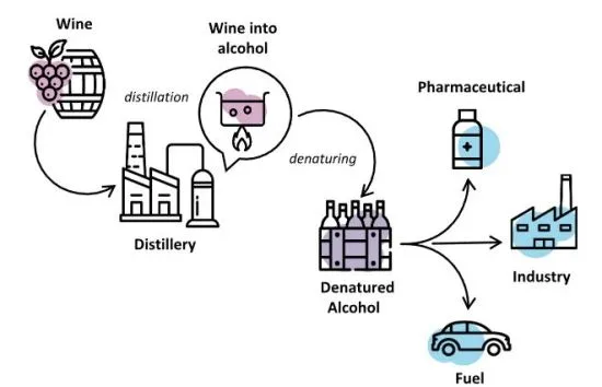 Global Wine Glut: The Return of Crisis Distillation