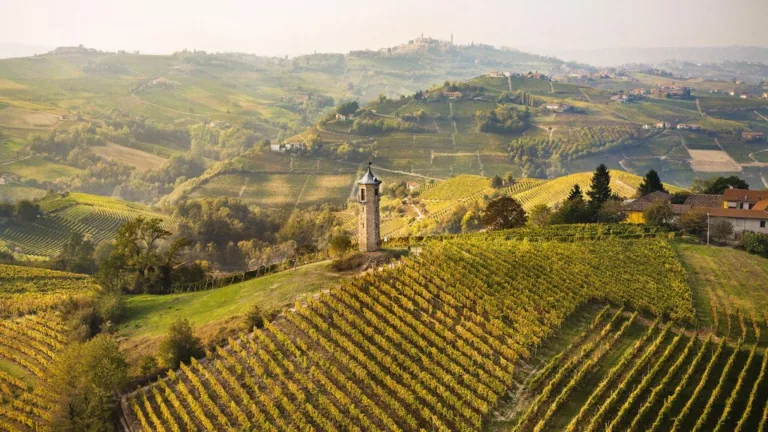 Moscato D’Asti – Italy’s Most Popular Sparkler