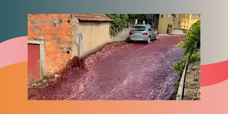 2.2 Million Liters of Red Wine Just Flooded a Portuguese Town