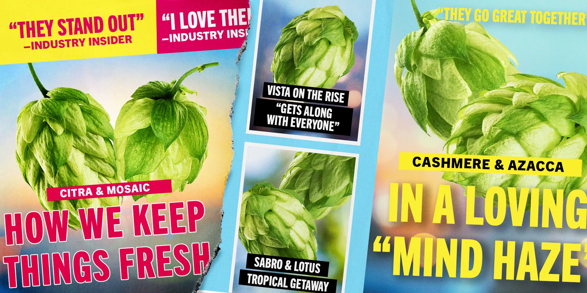 , The Hottest New Hop Combinations for IPAs