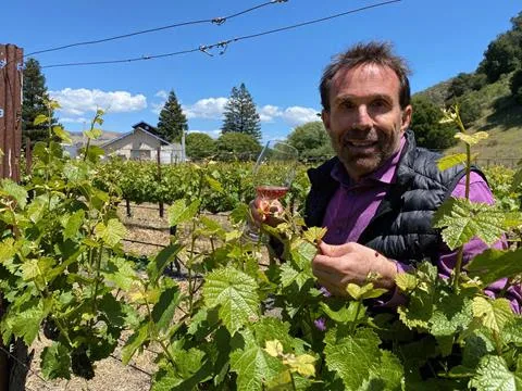 “Exploring Wine Regions: California Central Coast” by Michael Higgins to be released nationwide on October 3