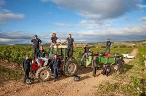 Bodegas LAN &#8211; Harvest time at the iconic Viña Lanciano