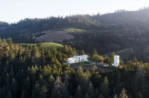 Luxury Napa villa with Cabernet vines goes on sale for $22m