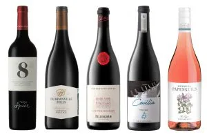 Award-winning wines to celebrate International Pinotage Day