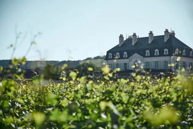 Château de Pommard embraces biodynamics in Clos Marey-Monge