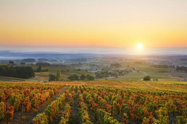 Côtes du Rhône invites Brits to rediscover the region