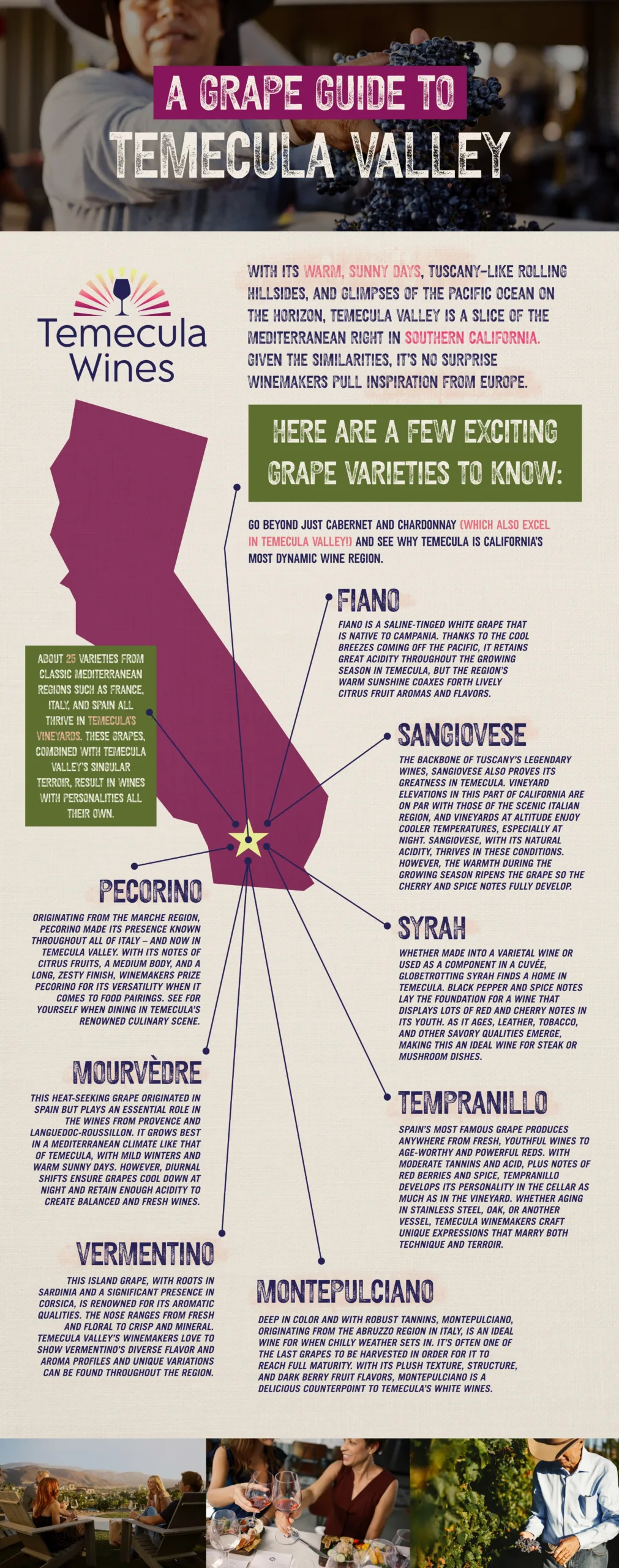 , A Grape Guide to Temecula Valley