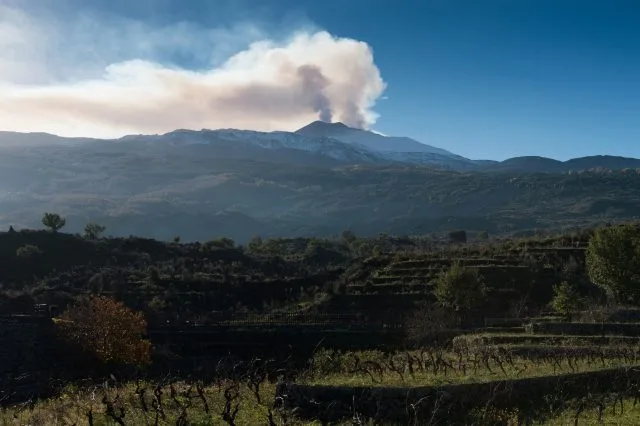 Vineyard prices are soaring in Etna