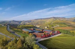 Vite Colte&#8217;s Gavi DOCG wines &#8211; Championing the great whites of Piedmont