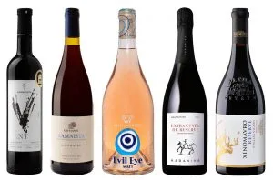 Xinomavro: 12 award-winning Greek wines to try