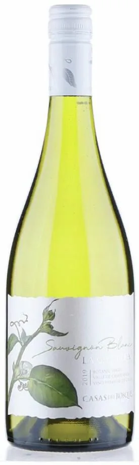 , Seven wonderful white wines from Chile