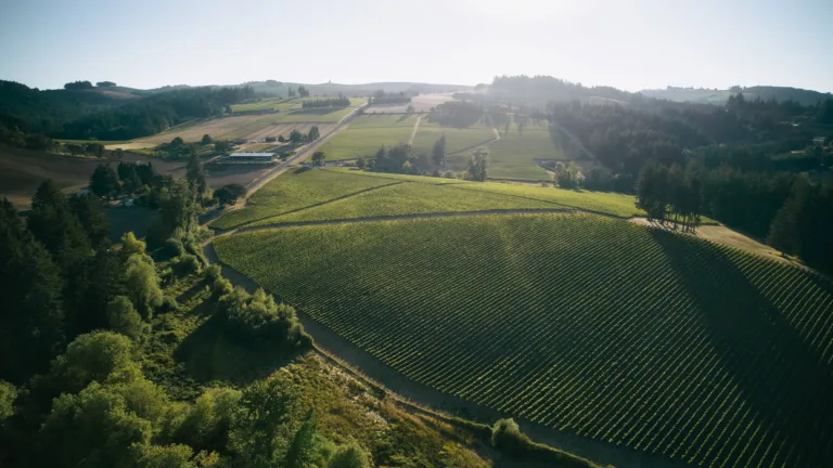 Welcome to Oregon’s Chardonnay Renaissance