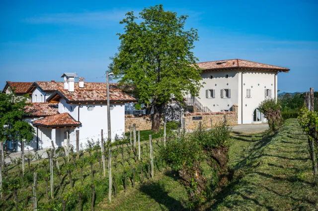 The Evolution of Gradis’ciutta 25 Years after the First Grape Harvest Among Organic Excellences, the Opening of a Reception Facility and the Recent Restyling of the Bràtinis Collio Label, the “Flagship” of the Collio Winery