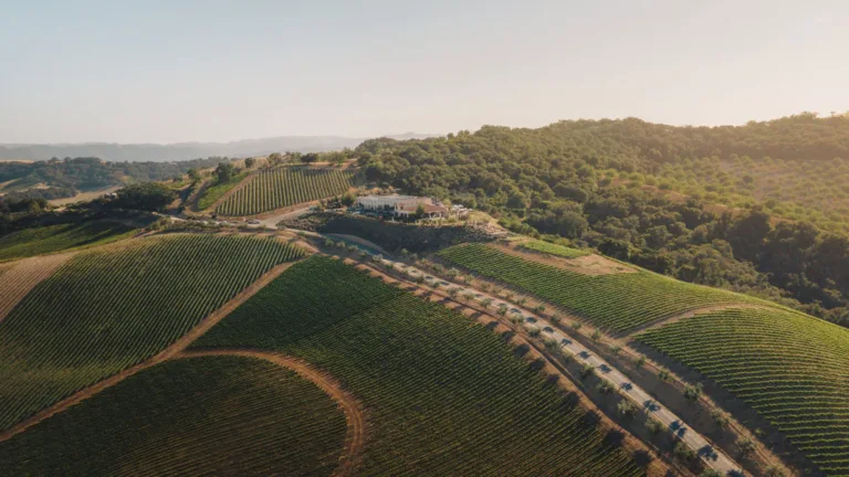 Treasury Wine Estates Acquires California’s DAOU Vineyards in $900 Million Deal