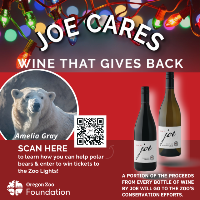 Wine By Joe Announces New Partnership with Oregon Zoo Foundation, Funds Polar Bear Research