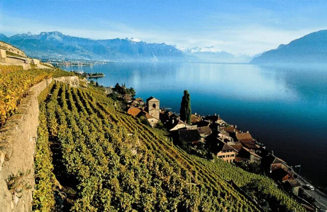 Lausanne Will Host the Annual Meeting of Great Wine Capitals