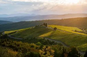 Castiglion del Bosco &#8211; winemaking of intricacy and precision