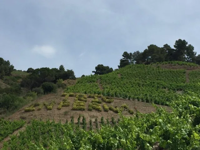 Priorat’s Domaine l’Infernal sold to the Belondrade family