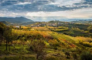 Slovenia: A wine lover’s guide