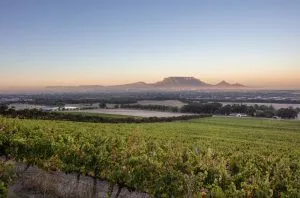 PIWOSA producer profile: De Grendel