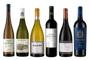 Best Laithwaites wines to try this winter