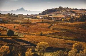 , Discovering ‘Il Nizza’ &#8211; home of Piedmont’s superior Barbera Nizza DOCG