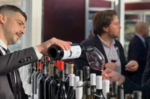 Wine Vision by Open Balkan: Showcasing the quality of Serbia, North Macedonia &amp; Albania