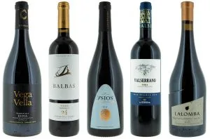 Top DWWA Tempranillo wines