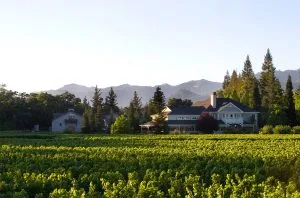 The Duckhorn Portfolio to purchase Sonoma-Cutrer Vineyards for $400m