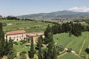 Tenuta Villa Bellini &#8211; a meeting of history and viticultural excellence