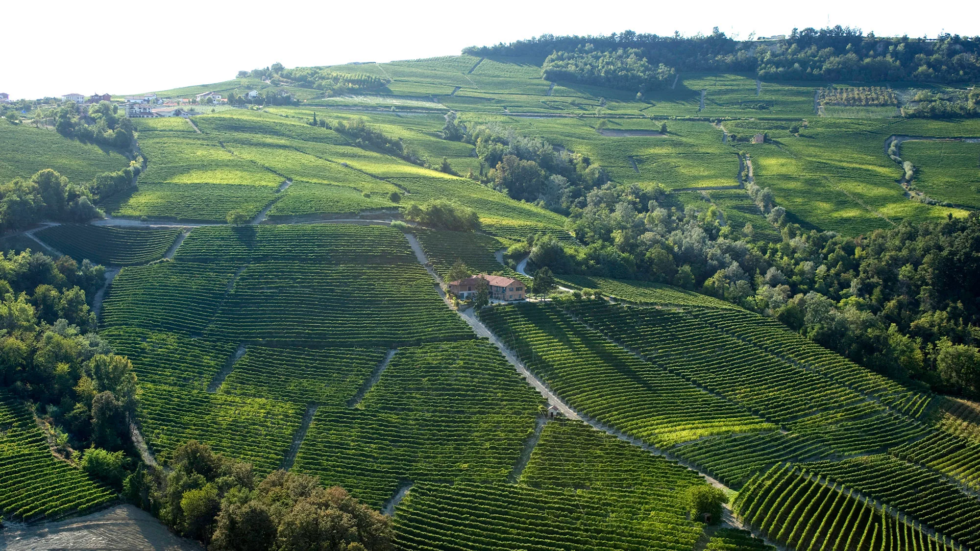 , The Defiant Story of Borgogno’s ‘No Name’ Wine