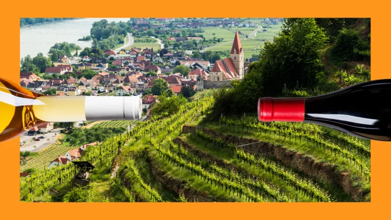 8 of the Best Red Wines From Austria